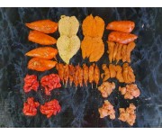 Fusion of flavours Chicken Box